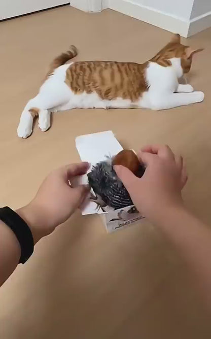 🦜 El juguete inteligente que acompaña la naturalidad de tu mascota compra hoy!!🤩