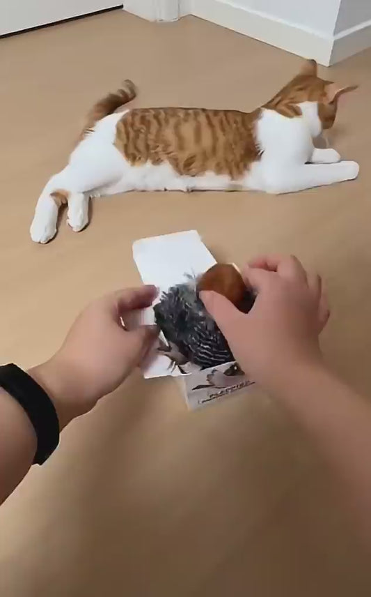 🦜 El juguete inteligente que acompaña la naturalidad de tu mascota compra hoy!!🤩